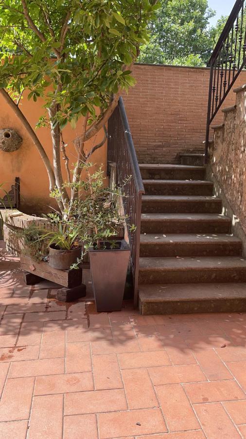 Villa Mariposa Nettuno Zewnętrze zdjęcie